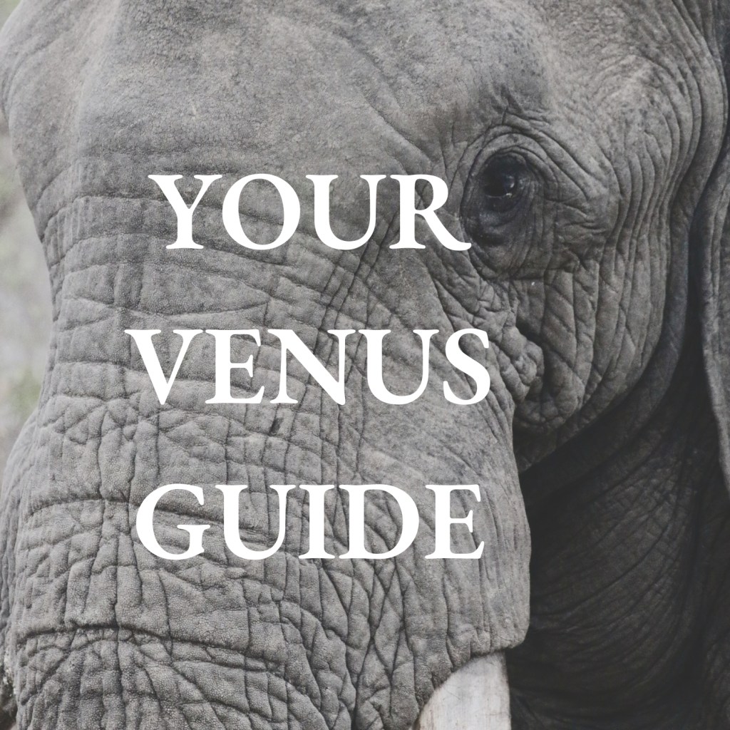 YOUR VENUS GUIDE